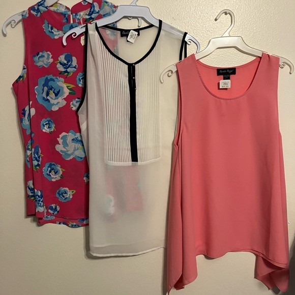 Charlie Paige Tops - NWT women’s Charlie Paige Pink , White and Pink Floral Blouses Set